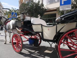 Horse and carriage ride Marbella